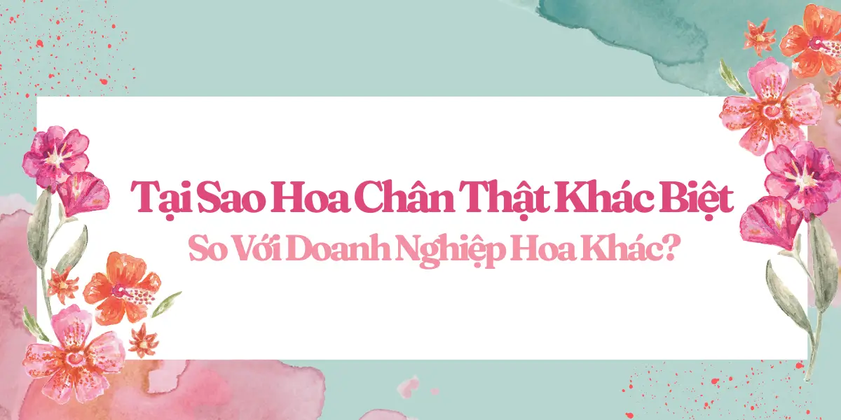 Tai Sao Hoa Chan That Khac Biet So Voi Doanh Nghiep Hoa Khac