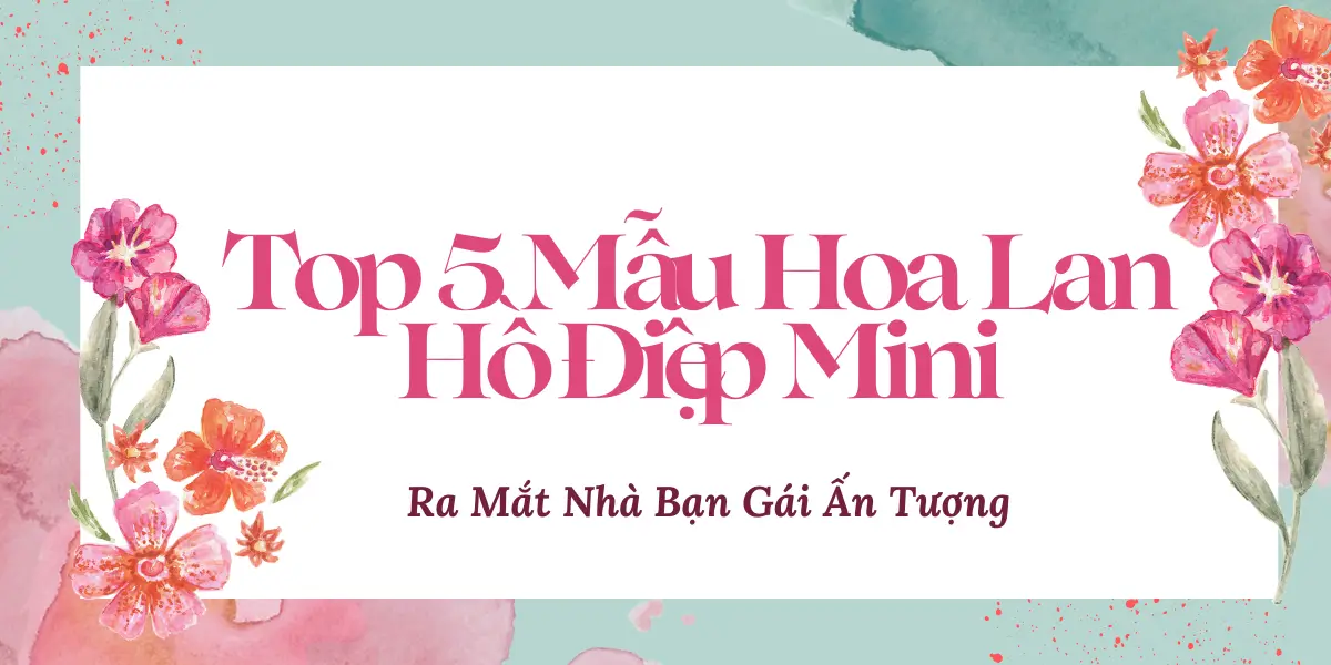 Top 5 Mau Hoa Lan Ho Diep Mini