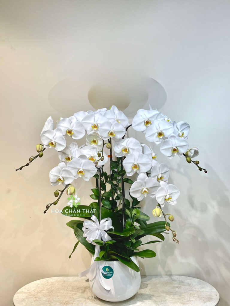 3514B659 E865 42A1 A9F4 CBFDFF53E635 1