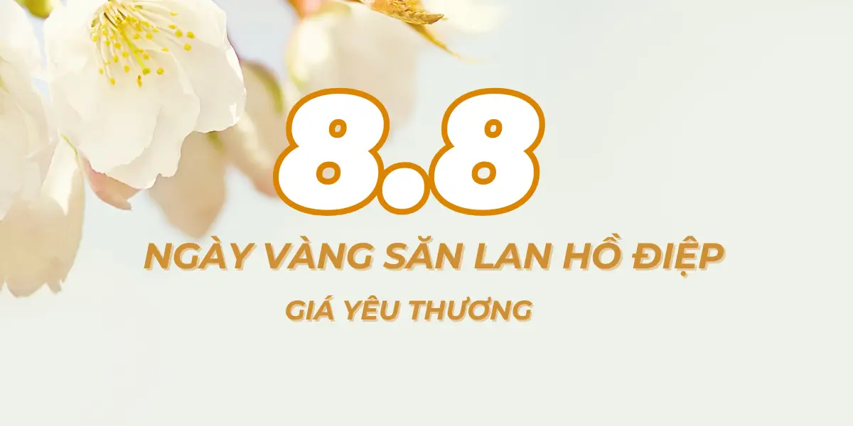 88 – NGAY VANG SAN LAN HO DIEP GIA YEU THUONG