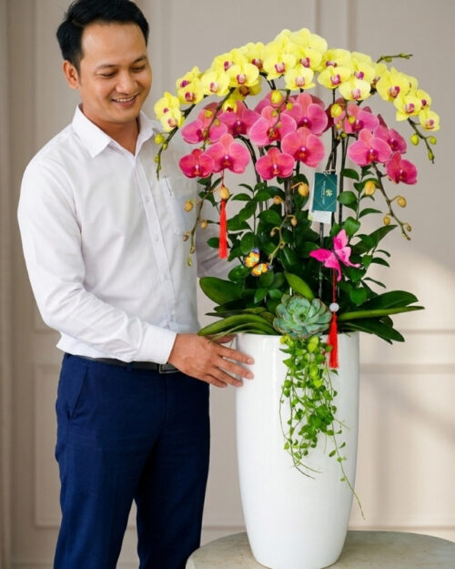 Chậu Lan Hồ Điệp Vàng Đỏ 8 Cành – Hòa Sắc Phú Quý Chậu Lan Hồ Điệp Vàng Đỏ 8 Cành – Hòa Sắc Phú Quý