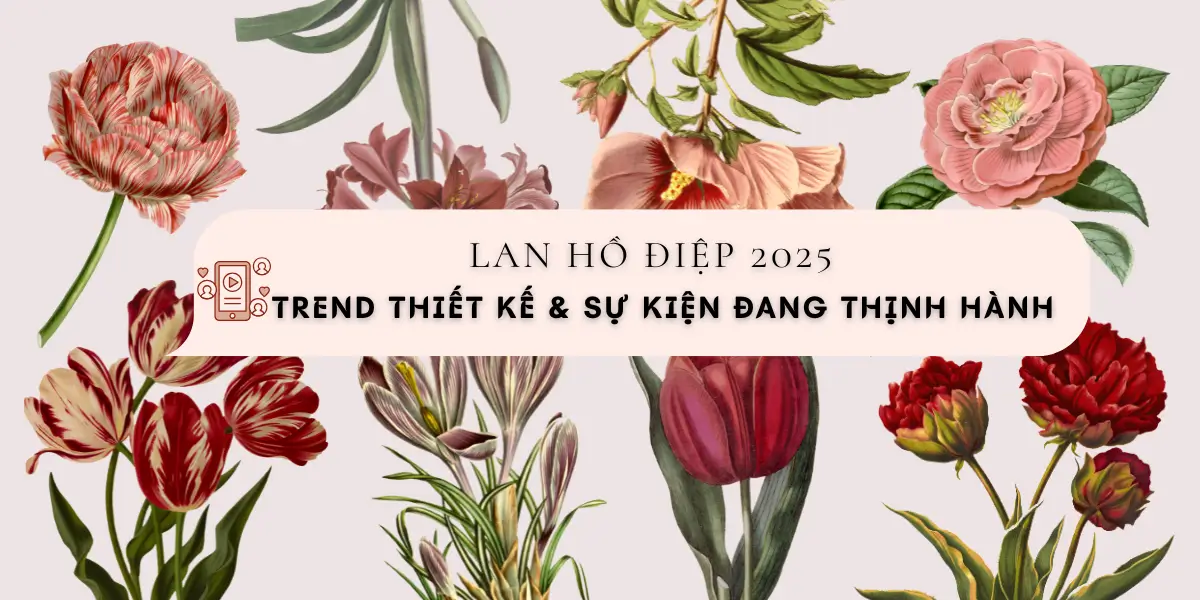 Lan Ho Diep 2025 – Trend Thiet Ke Su Kien Dang Thinh Hanh