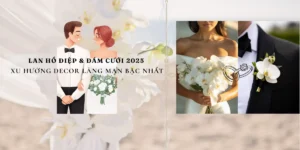 Lan Ho Diep Dam Cuoi 2025 – Xu Huong Decor Lang Man Bac Nhat