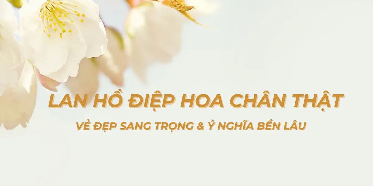 Lan Ho Diep Hoa Chan That – Ve Dep Sang Trong Y Nghia Ben Lau