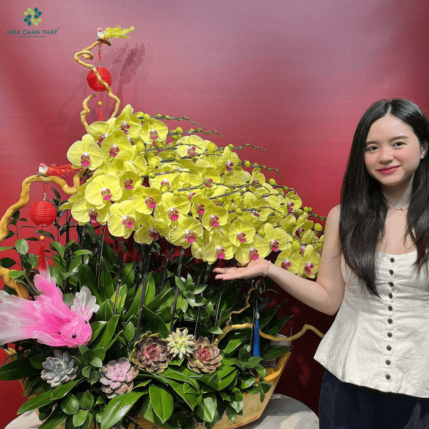 Lan Hồ Điệp 2025 – Trend Thiết Kế & Sự Kiện Đang Thịnh Hành