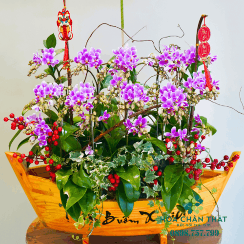 Thuyền Lan Hồ Điệp Mini – Vạn Sự Bình An