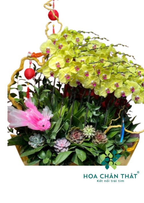 Thuyền Hoa Lan Vàng 20 Cành – Phú Quý Vinh Hoa