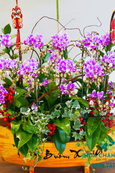 Thuyền Lan Hồ Điệp Mini – Vạn Sự Bình An