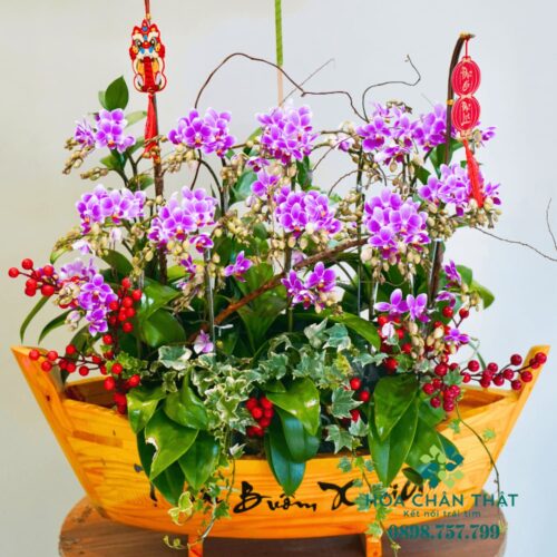 Thuyền Lan Hồ Điệp Mini – Vạn Sự Bình An