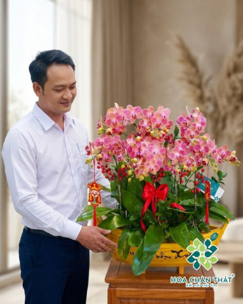 Thuyền Lan Hồ Điệp Mini – Thuận Buồm Vàng