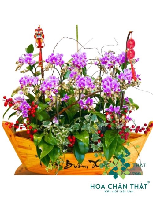 Thuyền Lan Hồ Điệp Mini – Vạn Sự Bình An