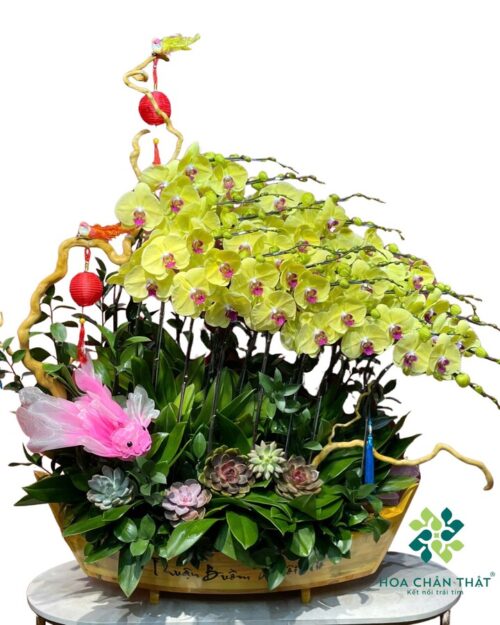 Thuyền Lan Hồ Điệp Vàng 20 Cành – Phú Quý Vinh Hoa