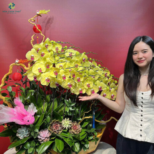 Thuyền Lan Hồ Điệp Vàng 20 Cành – Phú Quý Vinh Hoa