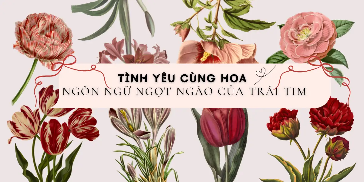 Tinh Yeu Cung Hoa – Ngon Ngu Ngot Ngao Cua Trai Tim