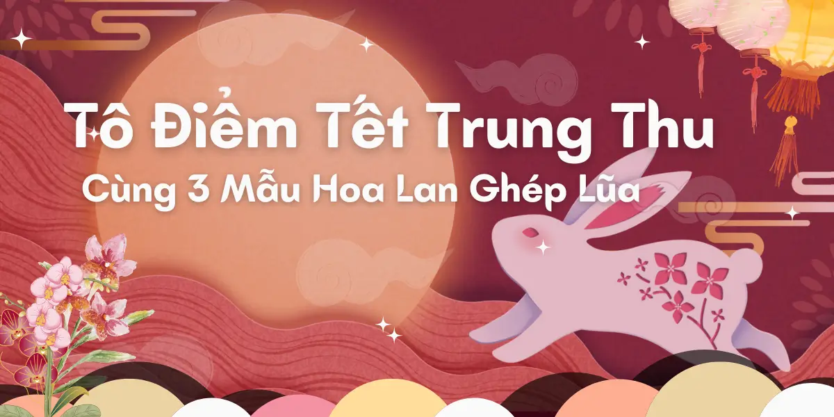 To Diem Tet Trung Thu Cung 3 Mau Hoa Lan Ghep Lua