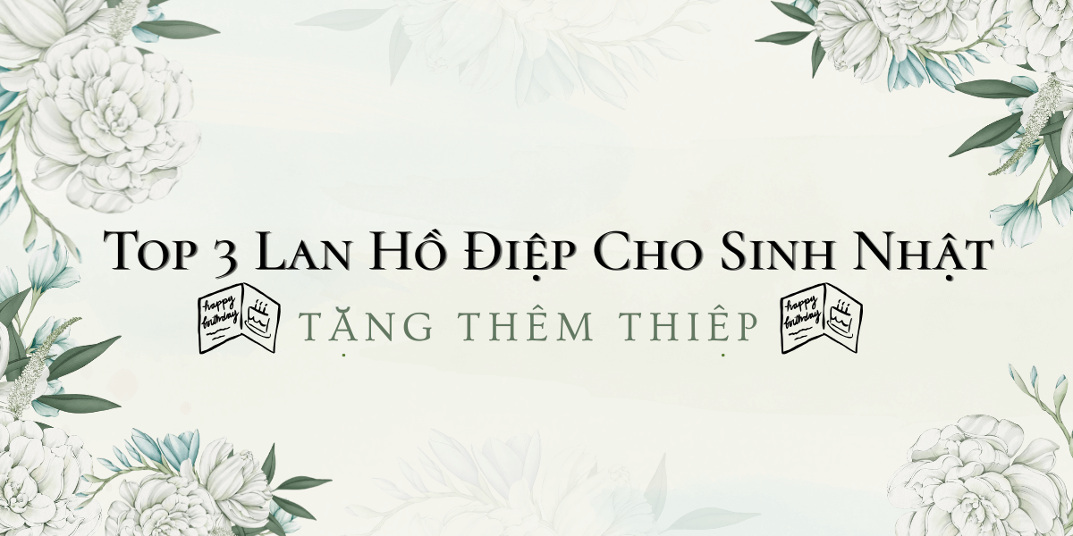 Top 3 Lan Ho Diep Cho Sinh Nhat – Tang Them Thiep 1