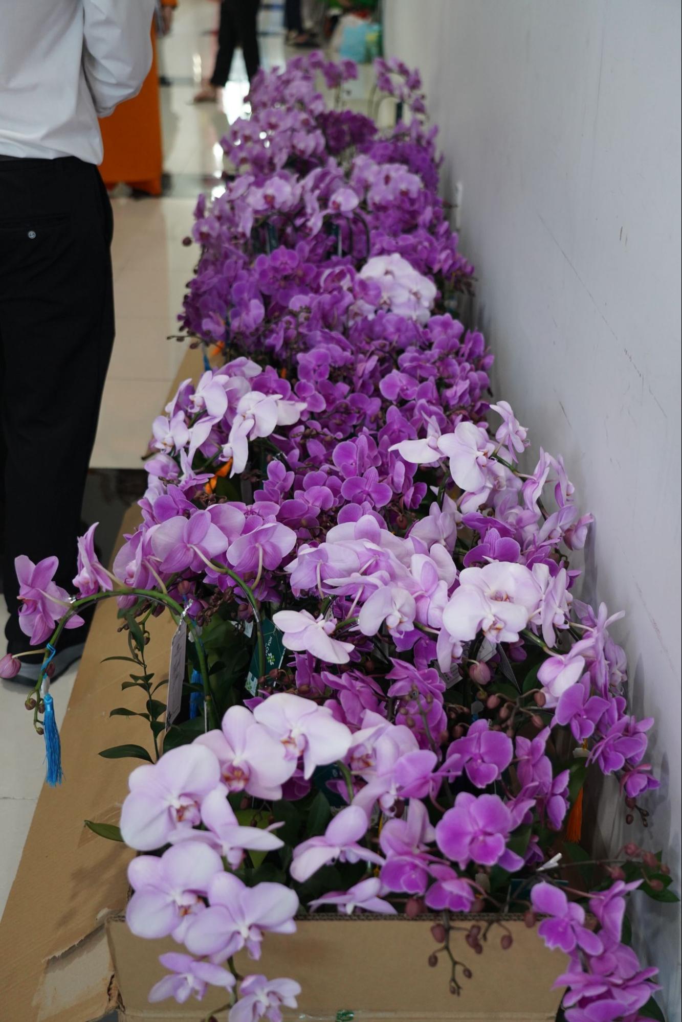 image12