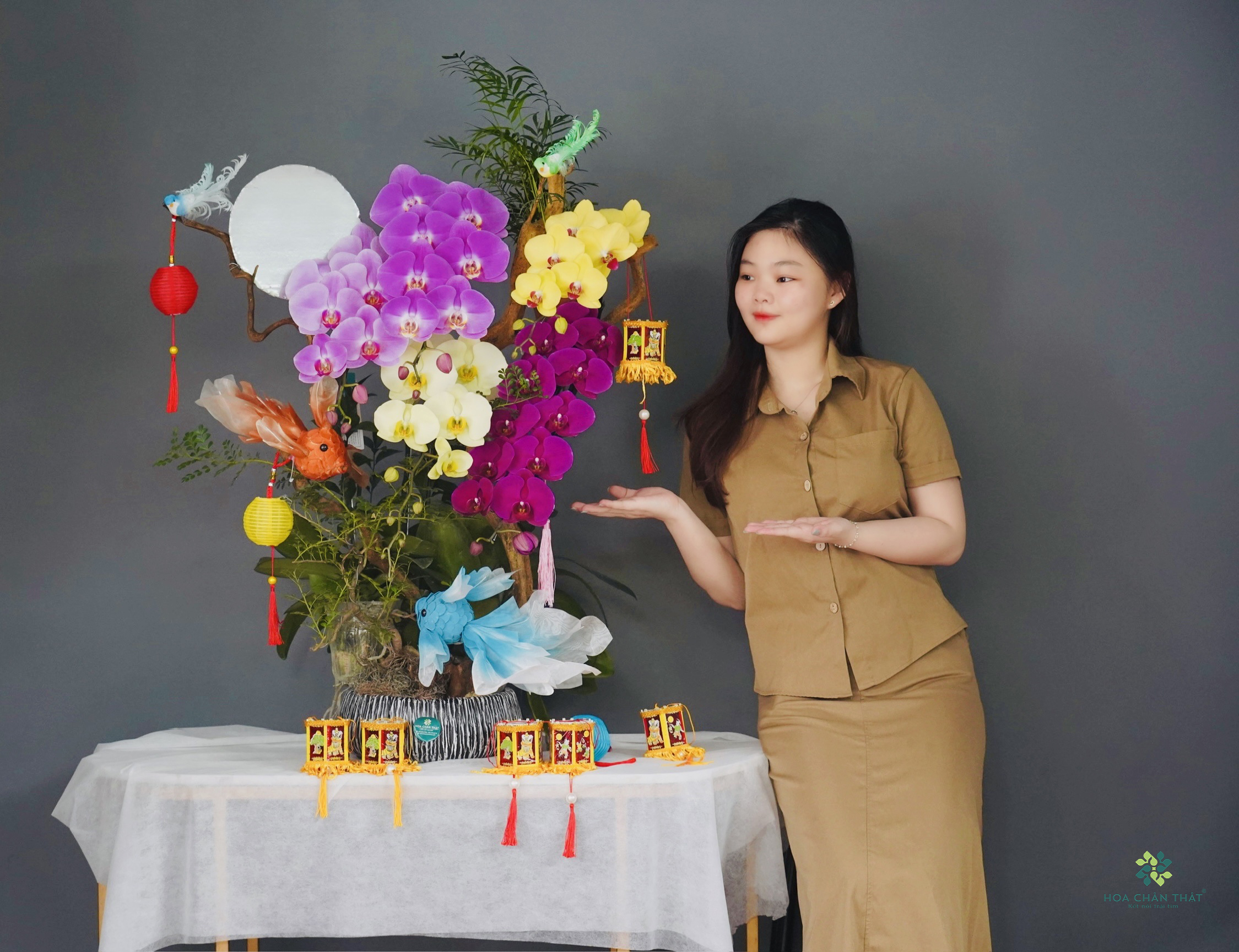 Lan Hồ Điệp Trung Thu – Món Quà Sang Trọng, Gắn Kết Yêu Thương 31a920665ebfd5e18cae