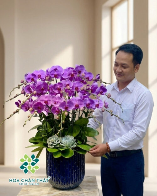 Chậu Lan Hồ Điệp 3 tầng 14 Cành – Trăng Vàng Đoàn Viên