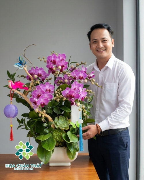 Chậu Lan Hồ Điệp Mini – Song Hỷ Đoàn Viên