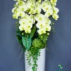 Chậu Lan Hồ Điệp Vàng Kem – Vượng Khí An Nhiên