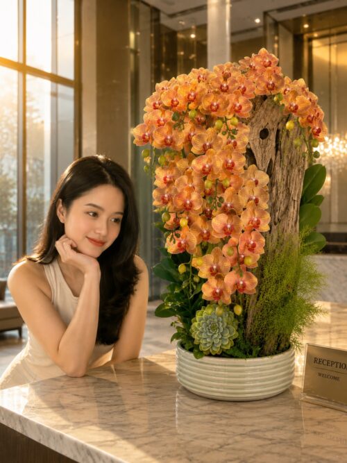 Lan Hồ Điệp Màu Cam 9 Cành Ghép Lũa Tươi Sáng