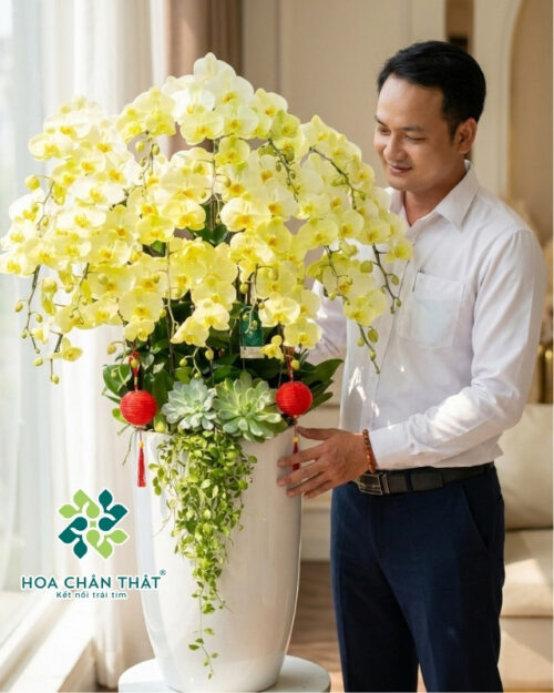 Lan Hồ Điệp Vàng Kim Phú Quý – Biểu Tượng Tài Lộc & Vinh Hoa