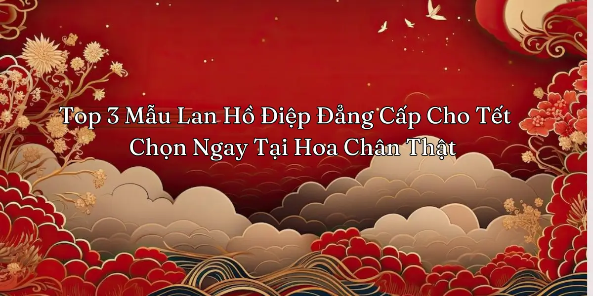 Top 3 Mau Lan Ho Diep Dang Cap Cho Tet Chon Ngay Tai Hoa Chan That