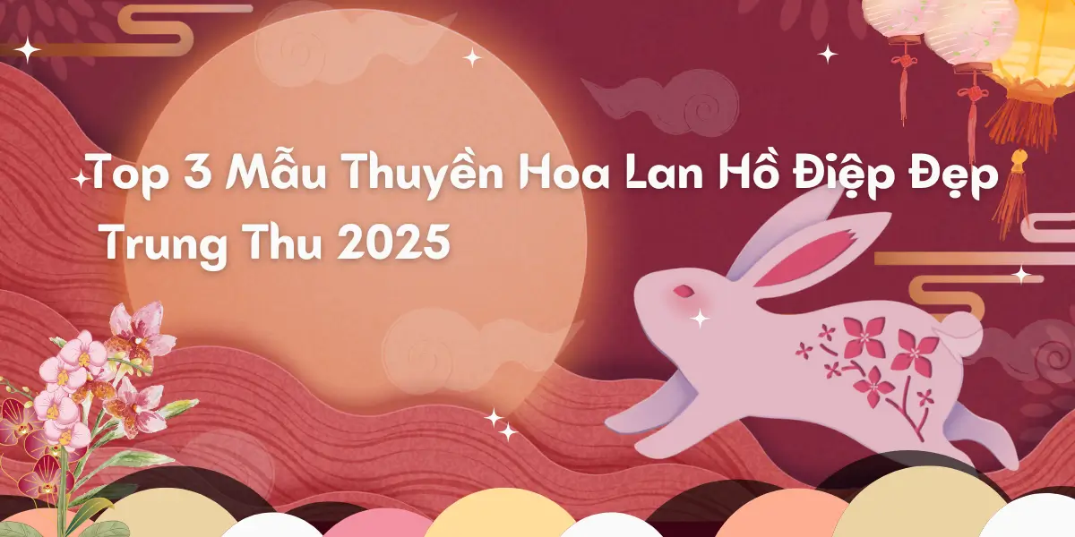 Top 3 Mau Thuyen Hoa Lan Ho Diep Dep Nhat Cho Tet Trung Thu 2025