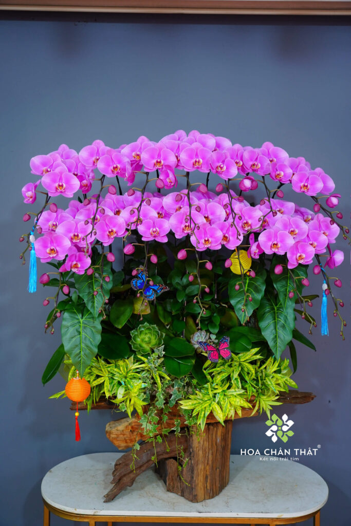 02894ab72d4ba015f95a1 1