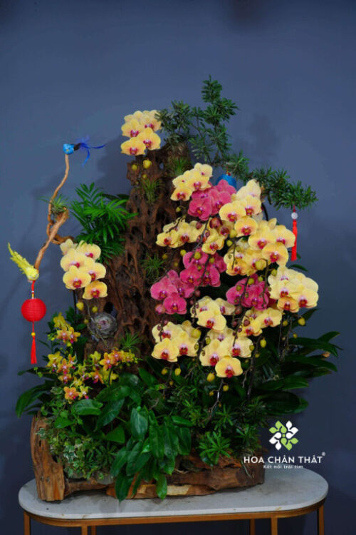 18ff0d83ff5f72012b4e 1 1 510x765 1