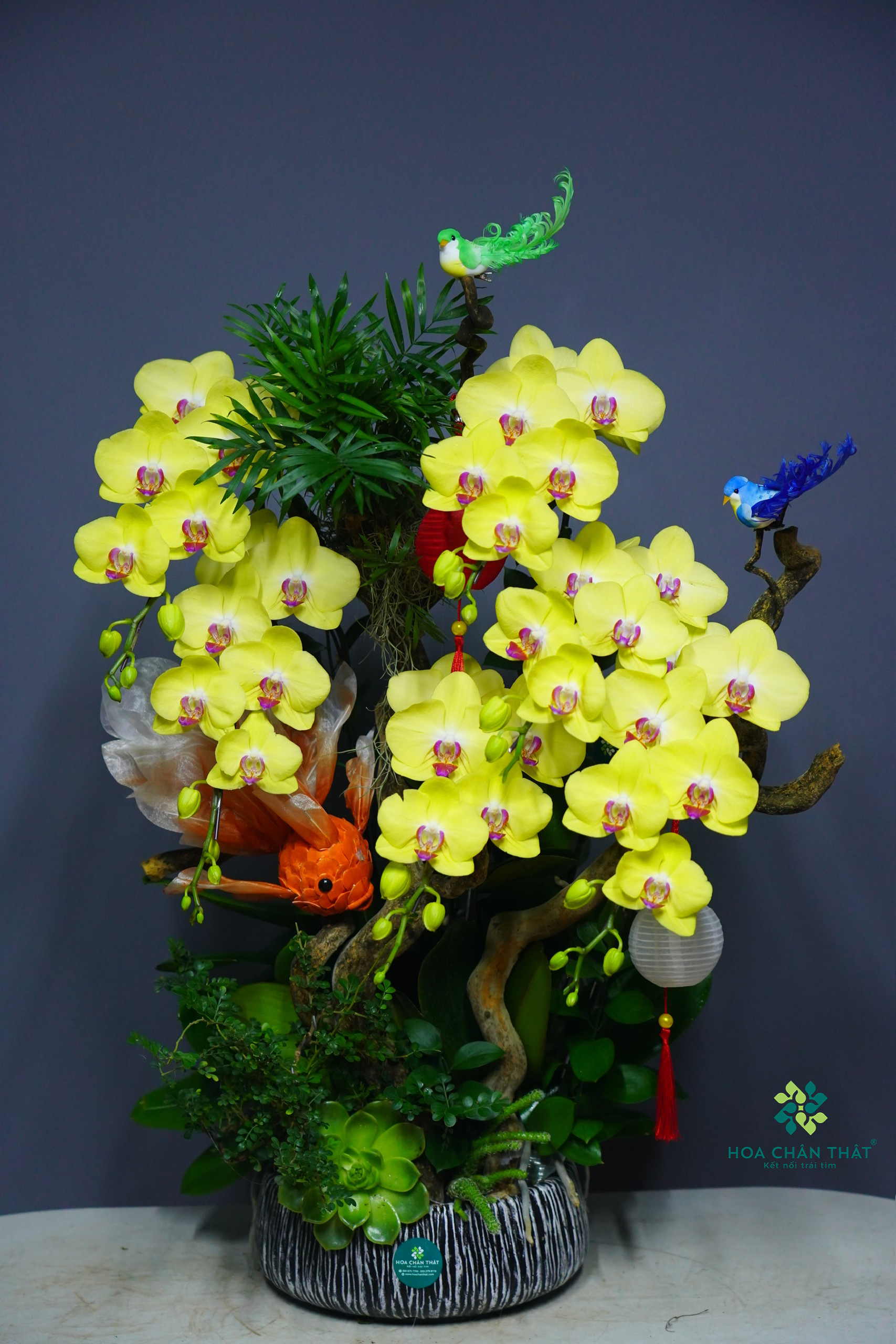 1a77a381b1633a3d6372 2