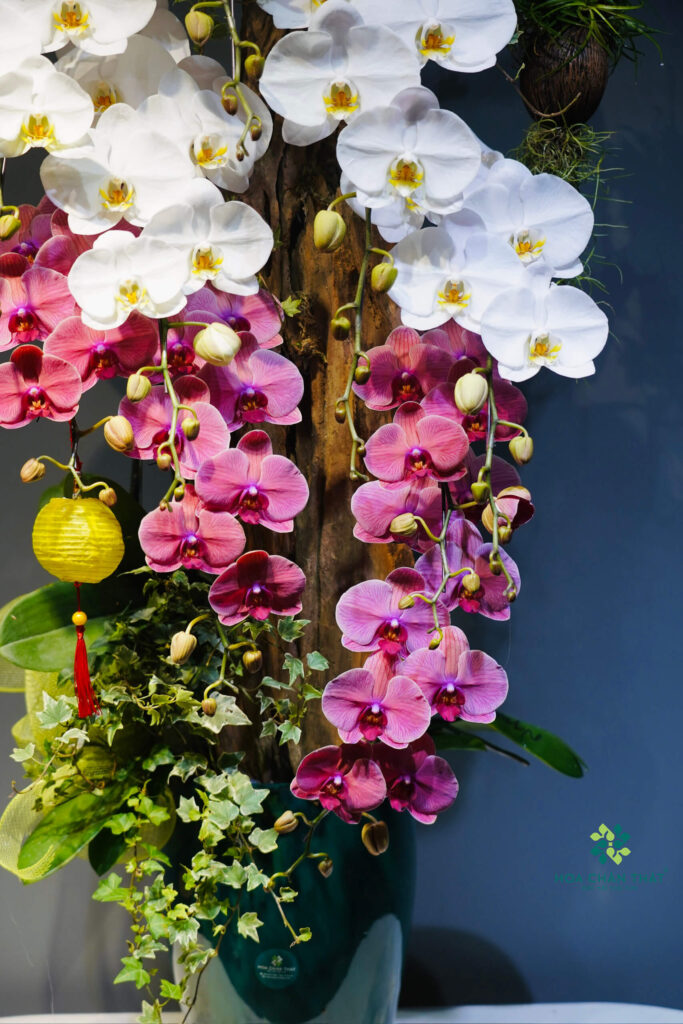 2646fceff1b57ceb25a4 2