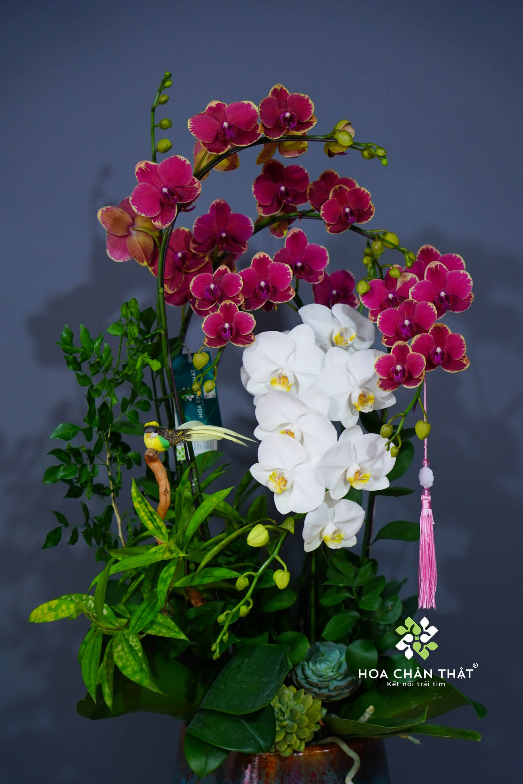 3ff3f7406ad2e78cbec35 (1) 3ff3f7406ad2e78cbec35 1