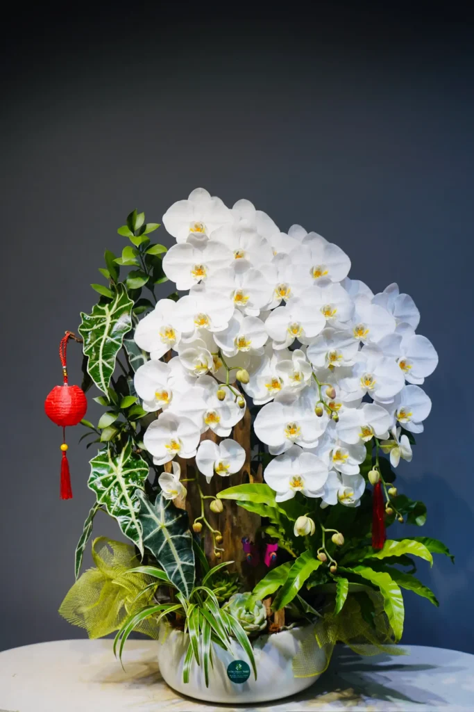 5536b4b97ff3f2adabe2