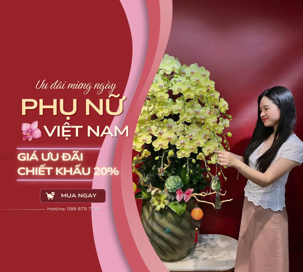 Banner HCT PC 2
