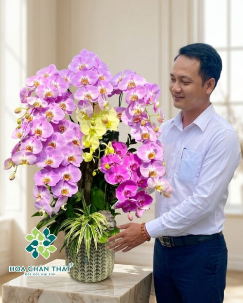 Chậu Lan Ghép Lũa 8 Cành – Hưng Thịnh Đoàn Viên
