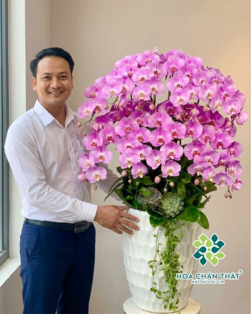 Chậu Lan Hồ Điệp 10 Cành – Tím Ngọc Thịnh Vượng