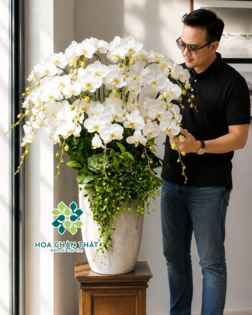 Chậu Lan Hồ Điệp 15 Cành Trắng V3 – Bạch Ngọc Phú Quý