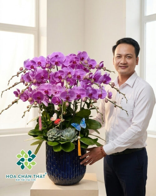 Chậu Lan Hồ Điệp 15 Cành – Phúc Lộc Đoàn Viên