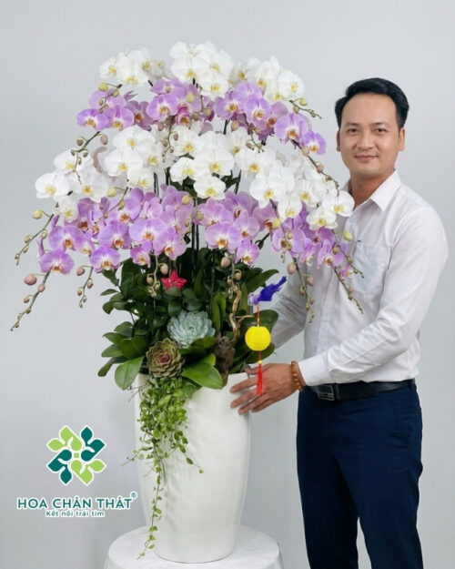 Chậu Lan Hồ Điệp 18 Cành – Phú Quý Đoàn Viên