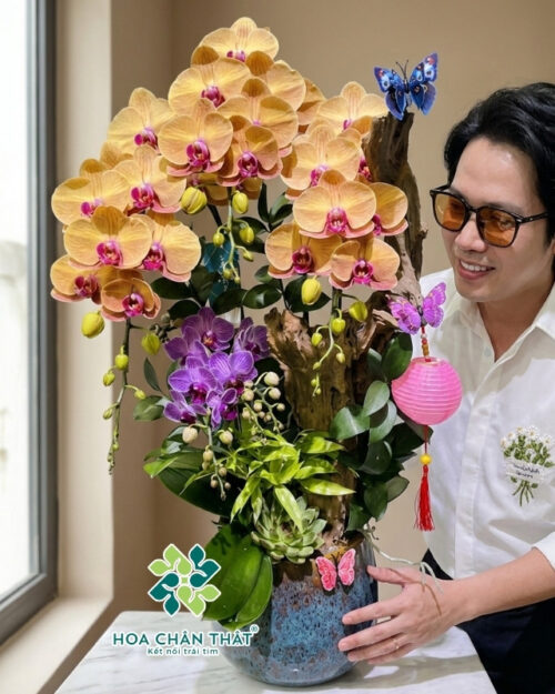 Chậu Lan Hồ Điệp 3 Cành – Hoàng Kim Vượng Phát