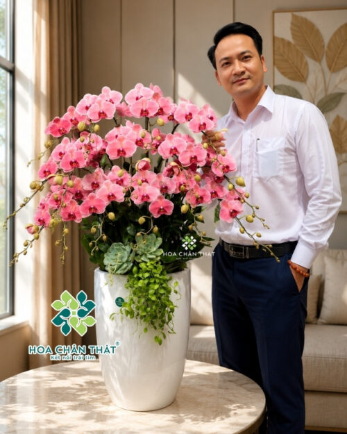 Chậu Lan Hồ Điệp 3 tầng 16 Cành – Hồng Diệp Cát Tường