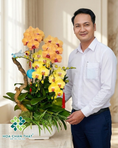 Chậu Lan Hồ Điệp 4 Cành Vàng Cam – An Nhiên Đoàn Viên