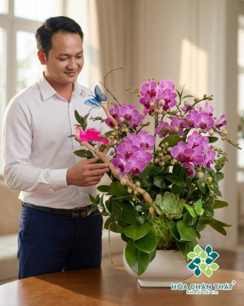 Chậu Lan Hồ Điệp 6 Cành Mini – Phúc Lộc Viên Mãn