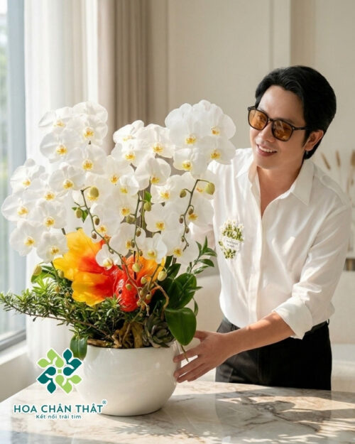 Chậu Lan Hồ Điệp 6 Cành – Ngọc Khiết An Nhiên