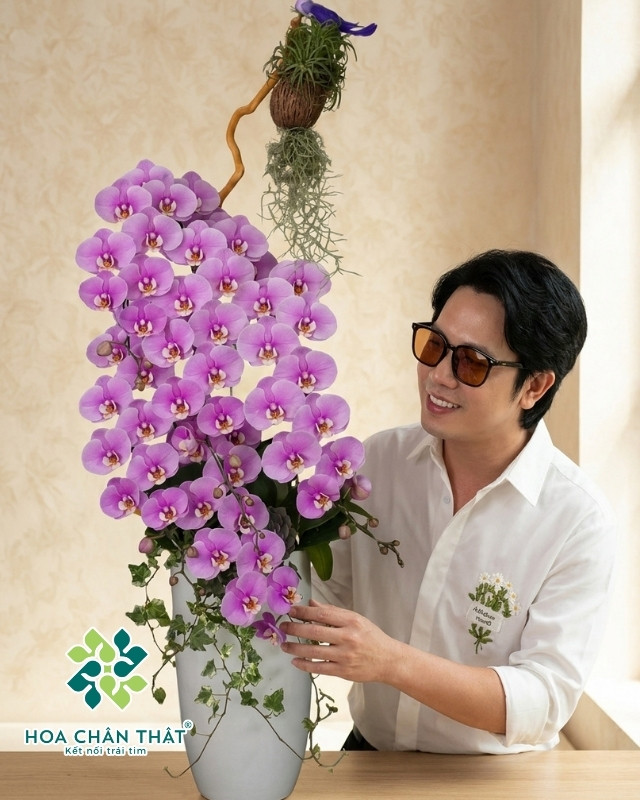 Chậu Lan Hồ Điệp 7 Cành – Tím Ngọc Đoàn Viên-2 Chậu Lan Hồ Điệp 7 Cành – Tím Ngọc Đoàn Viên