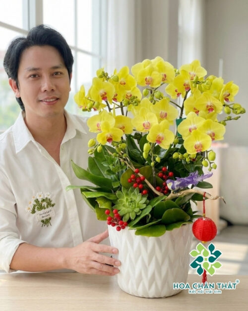 Chậu Lan Hồ Điệp 8 Cành – Kim Sắc Phú Quý