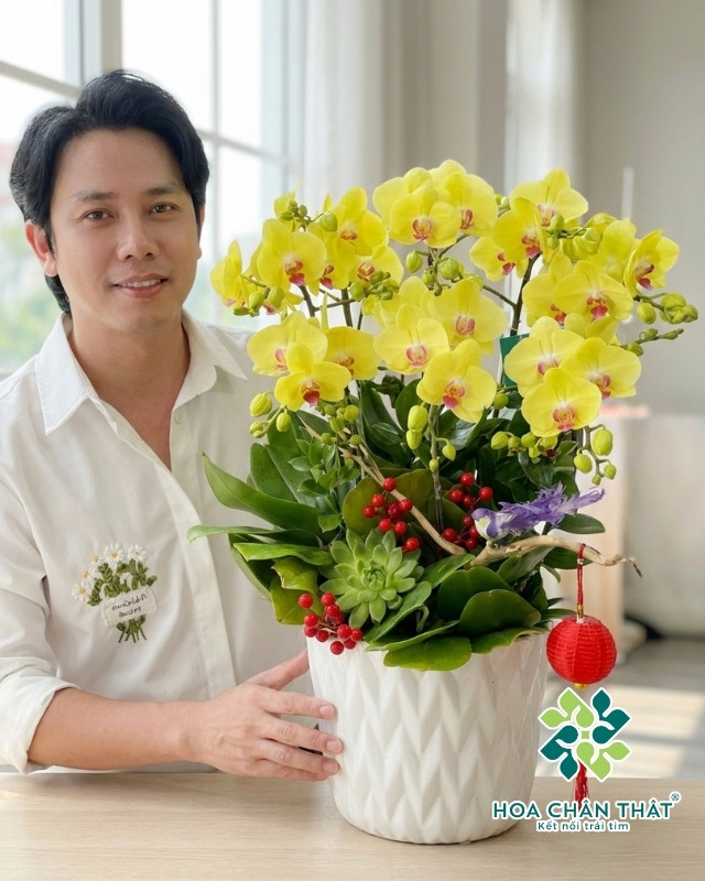 Chậu Lan Hồ Điệp 8 Cành – Kim Sắc Phú Quý Chậu Lan Hồ Điệp 8 Cành – Kim Sắc Phú Quý
