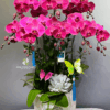 Chậu Lan Hồ Điệp 8 Cành – Song Hỷ Vượng Tài